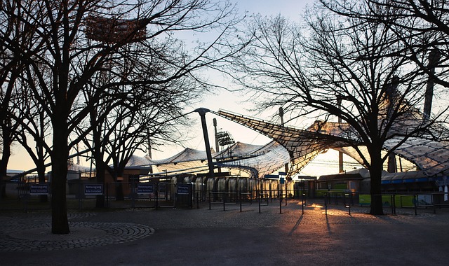 不仅显现出 不仅显现出