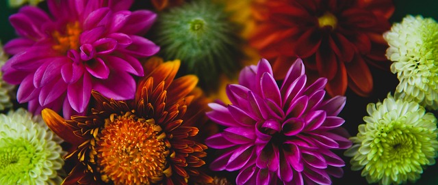 球隊的調整 球隊的調整