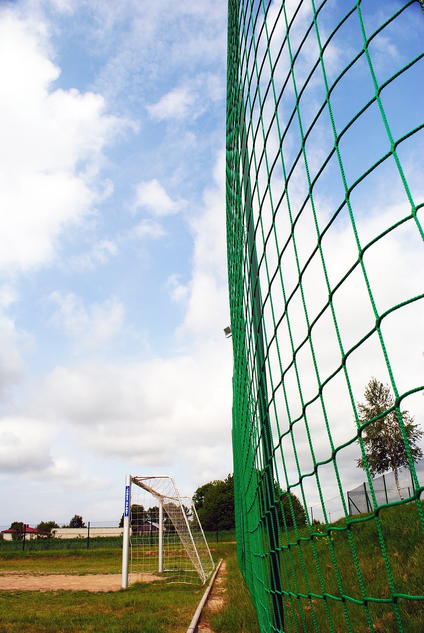 对于国乒来 对于国乒来